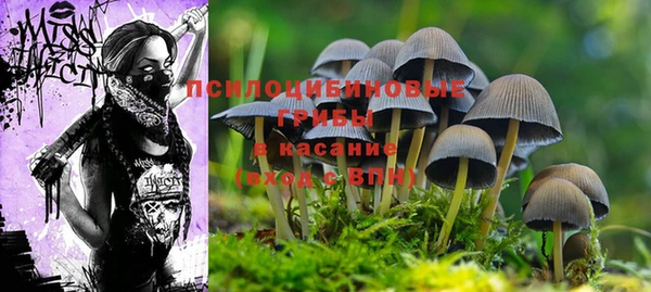 соль ск Абинск