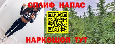 ПСИЛОЦИБИНОВЫЕ ГРИБЫ Краснодар