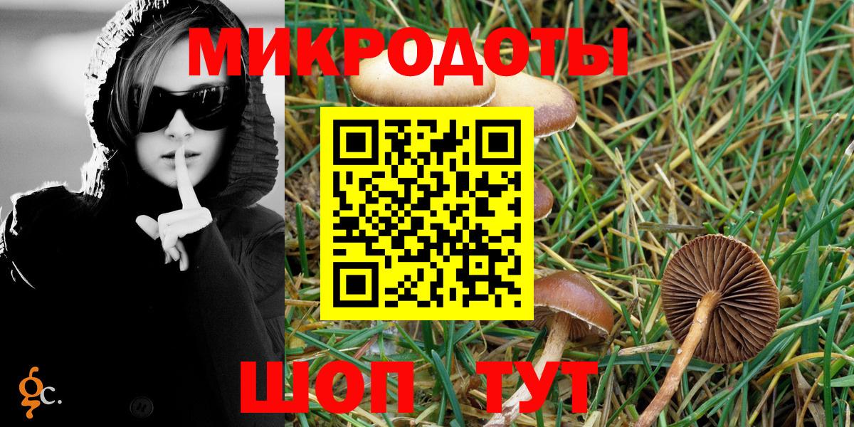 Камень-на-Оби  Галлюциногенные грибы мицелий  Галлюциногенные грибы Cubensis  Вход с VPN 